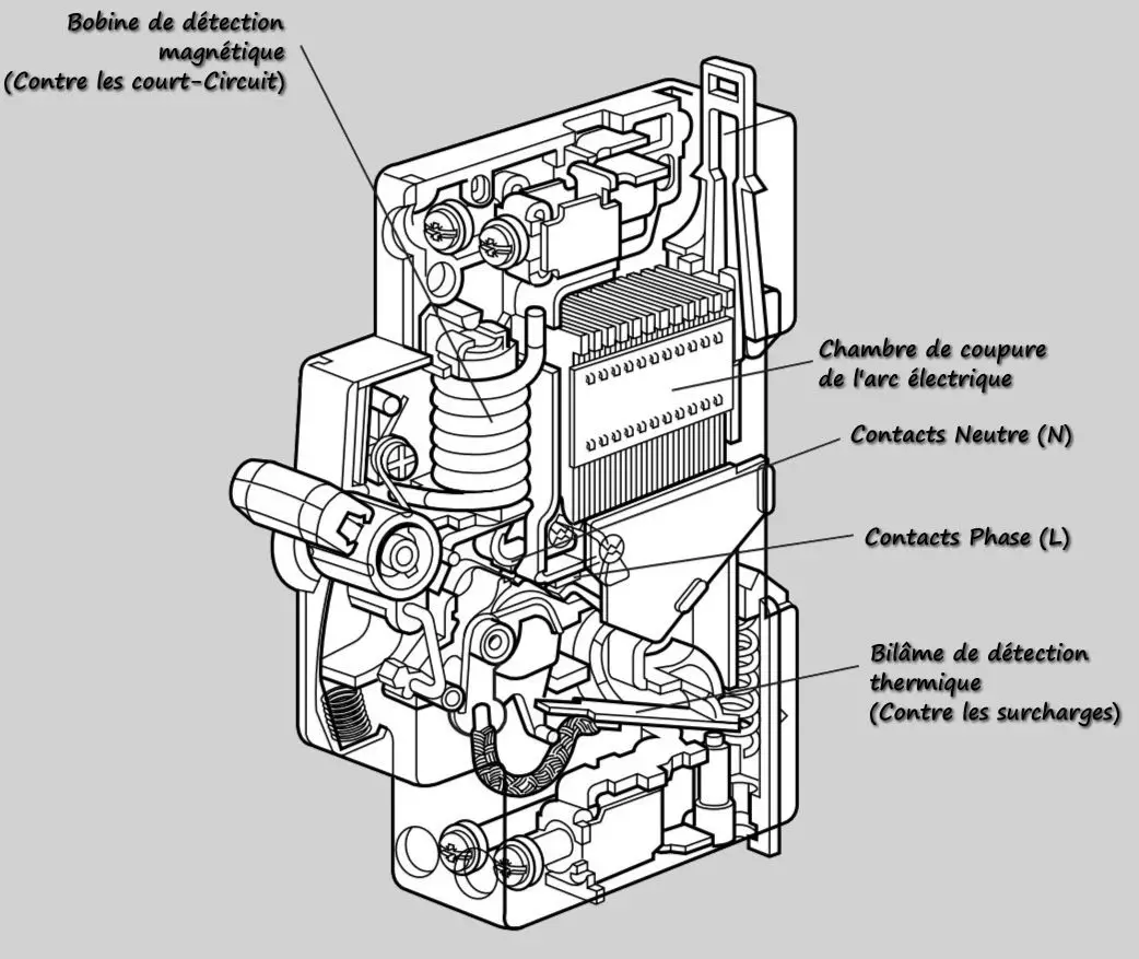 Constitution interne d'un disjoncteur magneto thermique Legrand