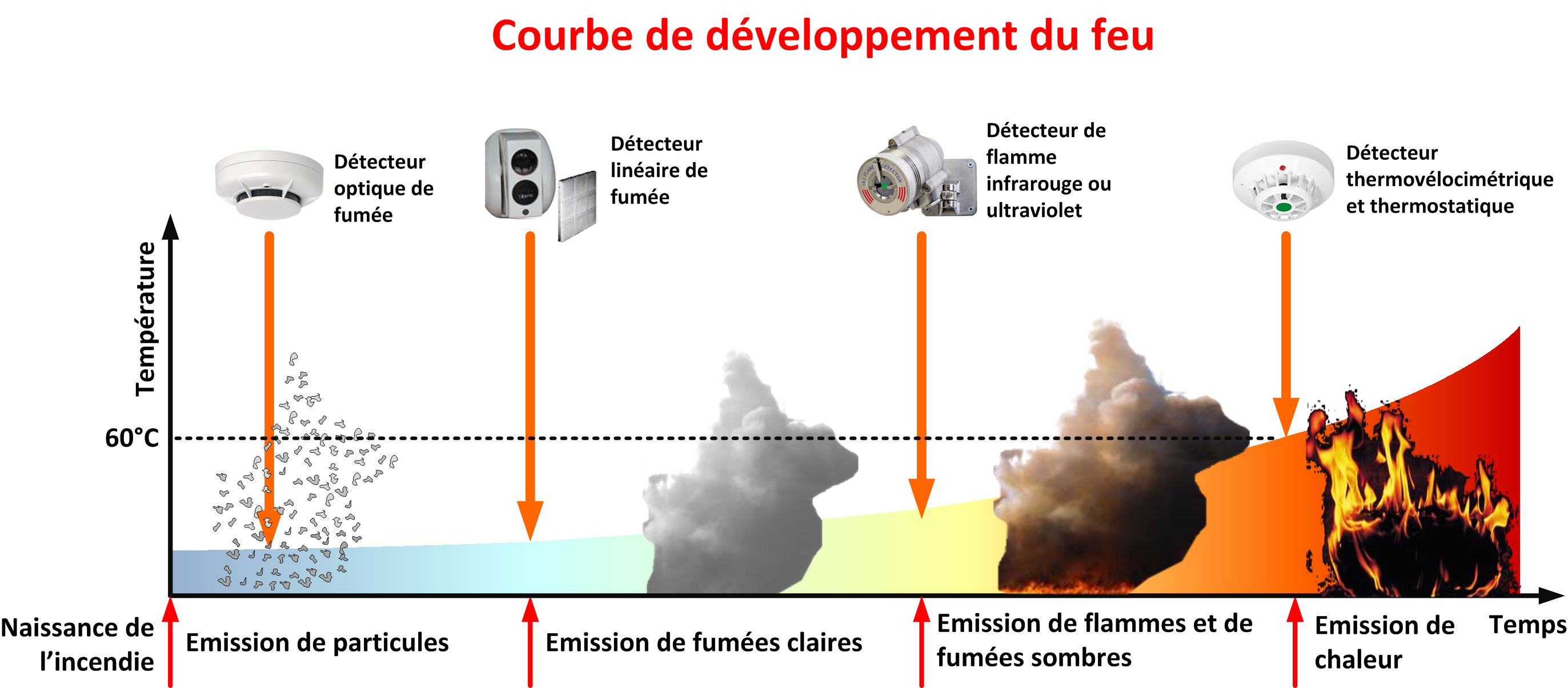 courbe de développement du feu