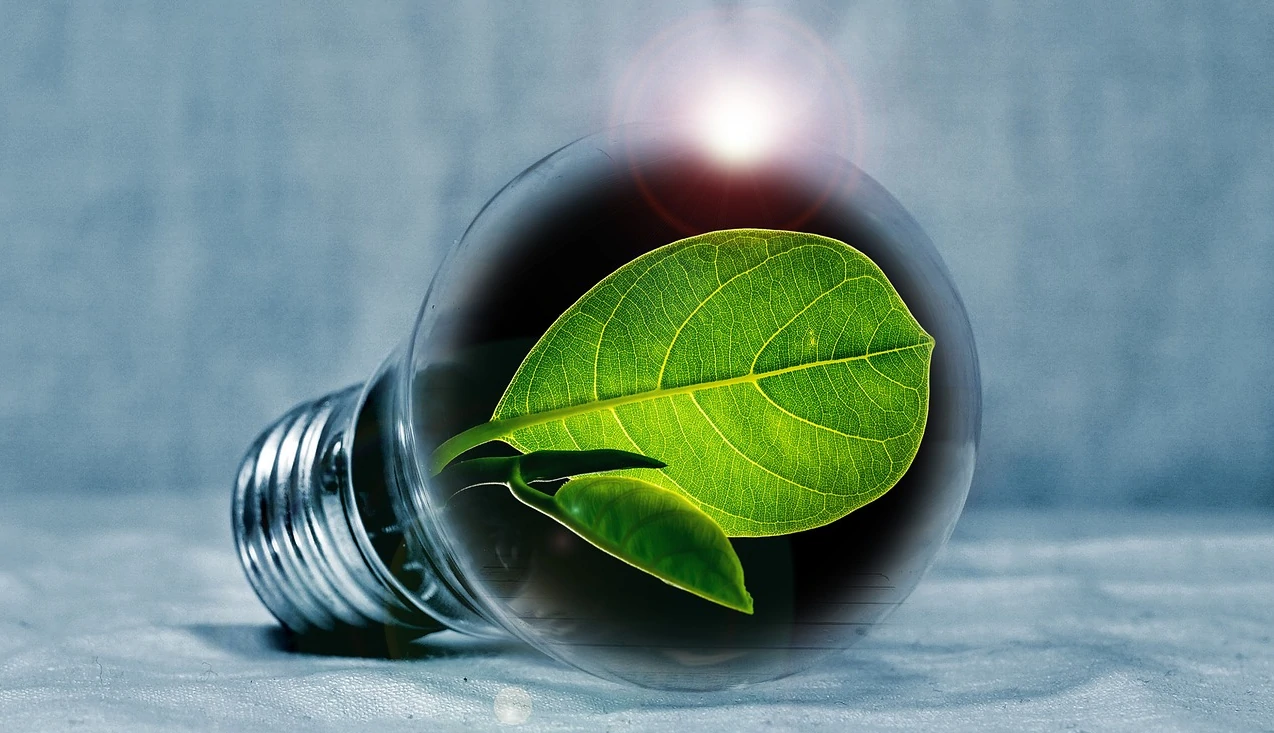 les fournisseurs proposent des offres énergie verte