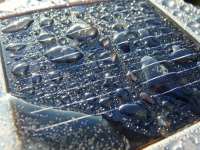 Cellule solaire photovoltaïque