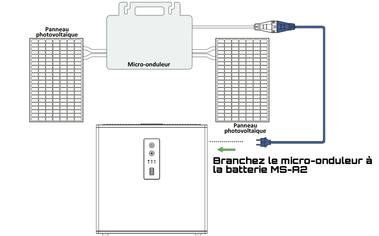 câblage de la batterie Hoymiles MS-A2