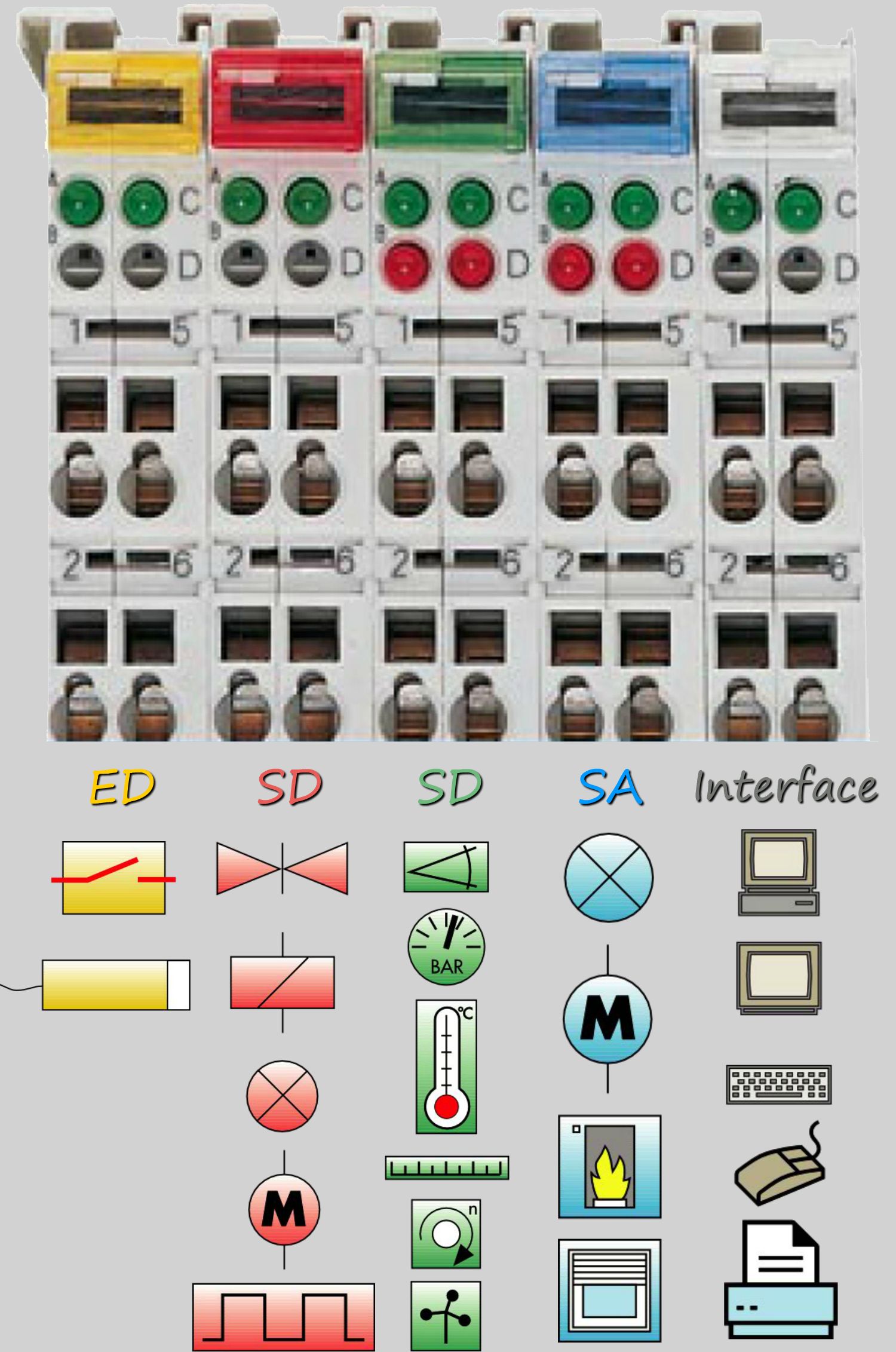 Couleurs des modules pour automates wago